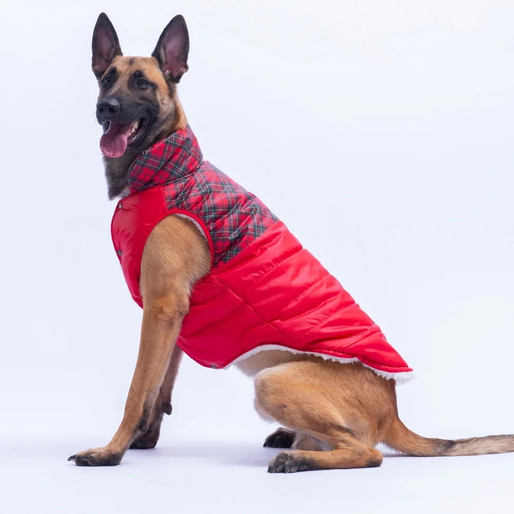 Red Plaid Large Breed Vest