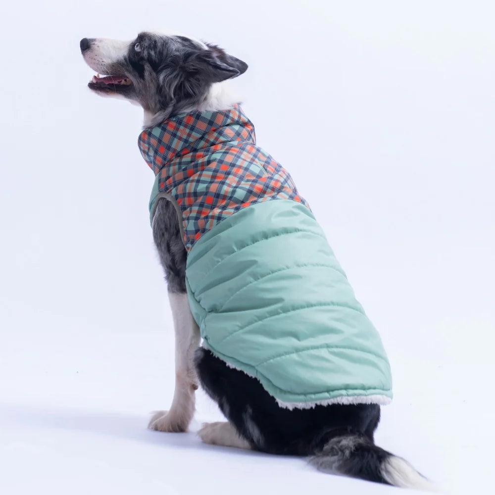Green Plaid Large Breed Vest