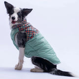 Green Plaid Large Breed Vest