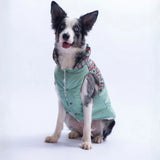 Green Plaid Large Breed Vest