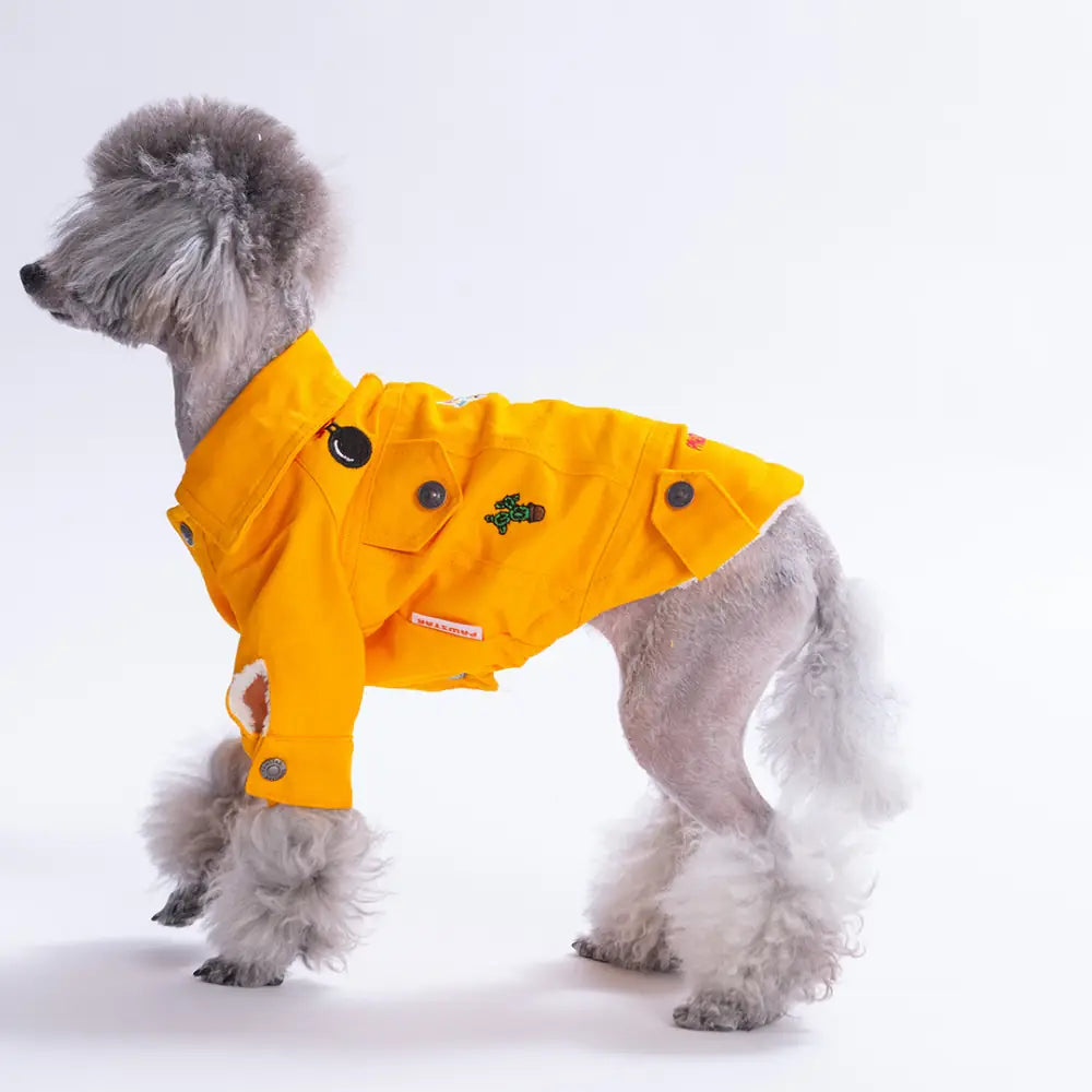 - Yellow Cancun Pop Jacket