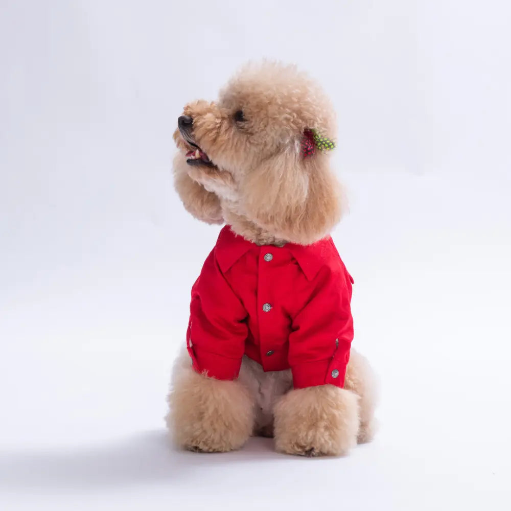 Red Cancun Pop Jacket