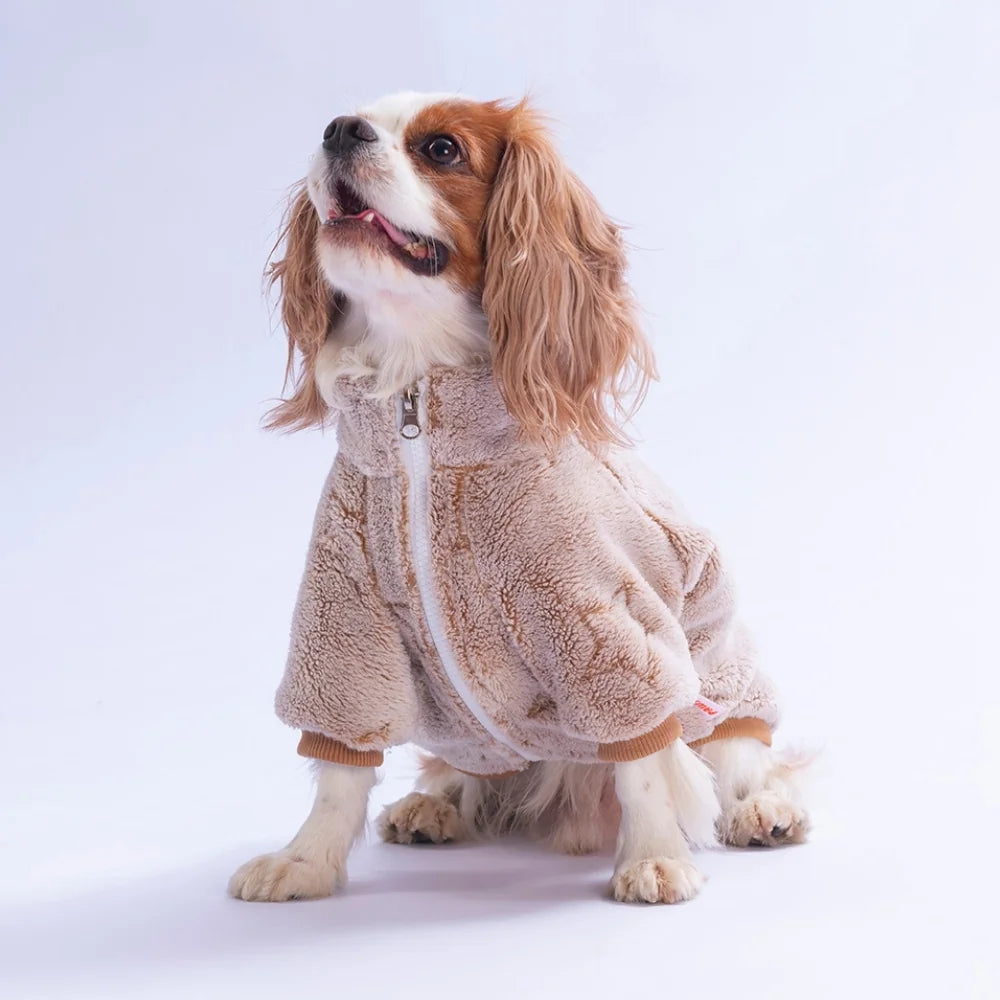 Winter Sky Jacket