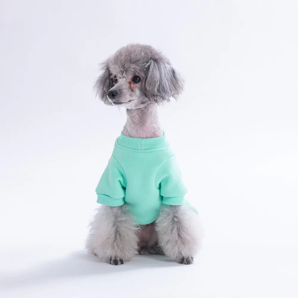 -Mint Arosa Nivalis Dress