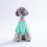 -Mint Arosa Nivalis Dress