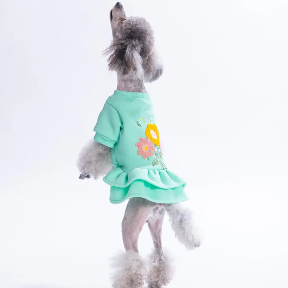 -Mint Arosa Nivalis Dress