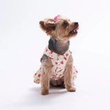 Berry Crush Dress