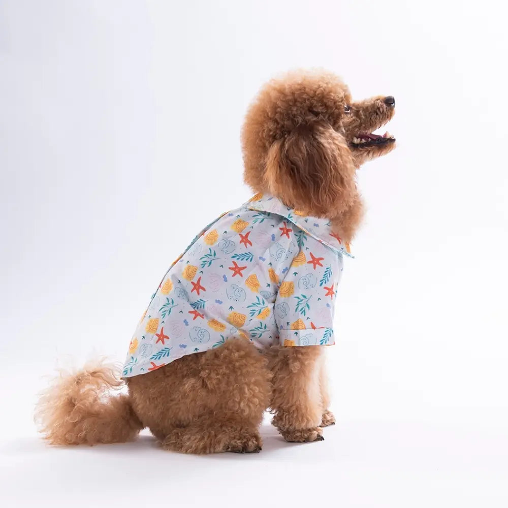 Aqua Reverie Patterned Shirt