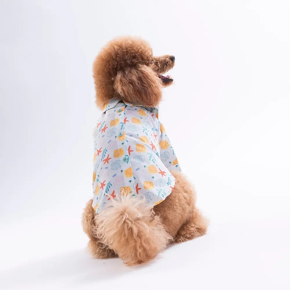 Aqua Reverie Patterned Shirt