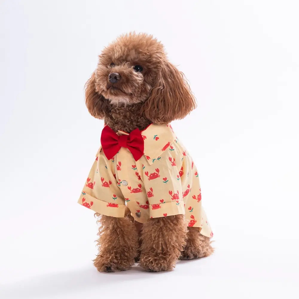 Coral Charm Patterned Shirt