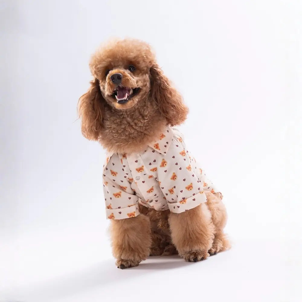 Teddy Belle Patterned Shirt
