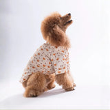 Teddy Belle Patterned Shirt