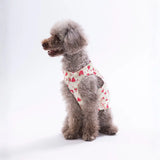 Berry Crush Patterned Shirt