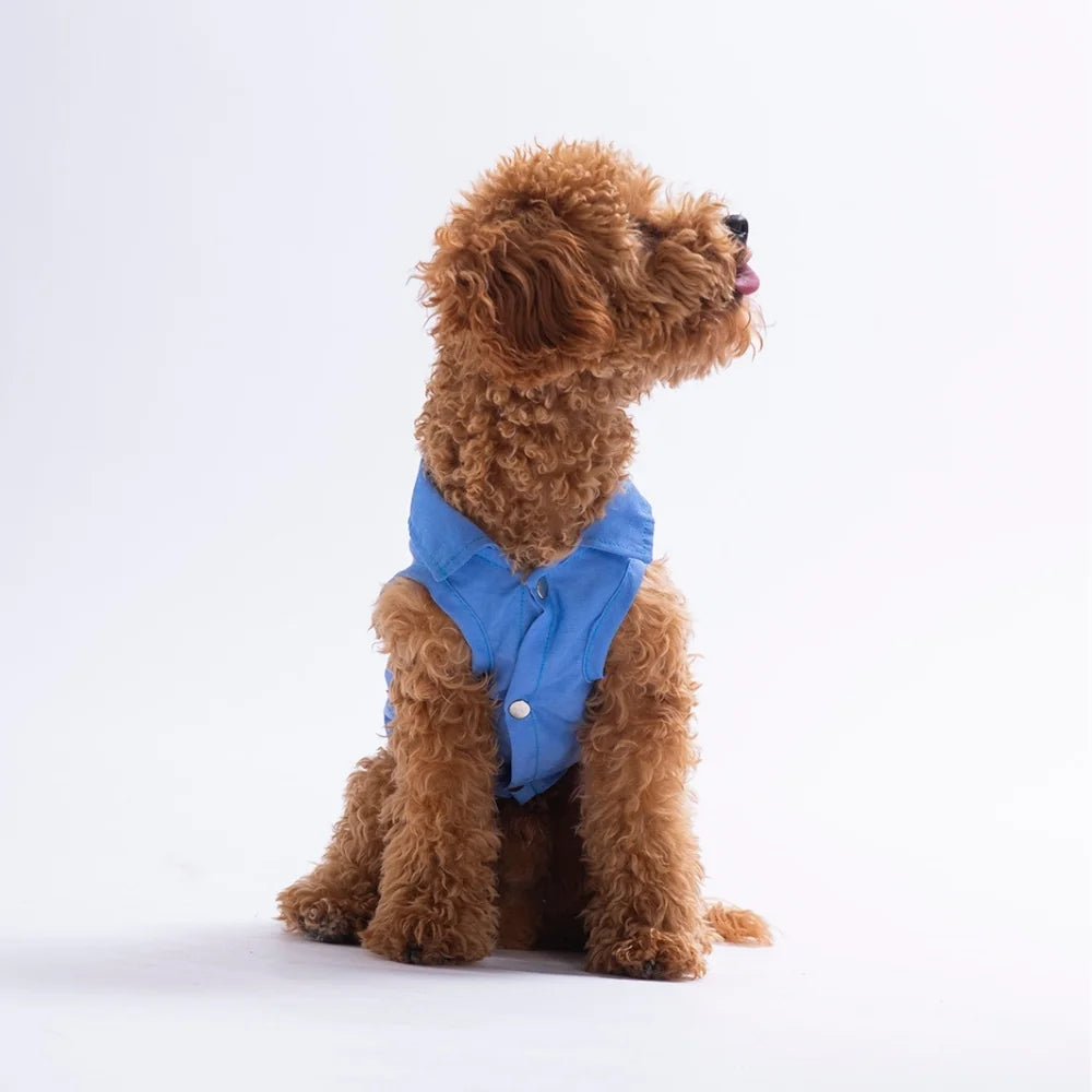 Cozie Bear Patterned Denim Shirt