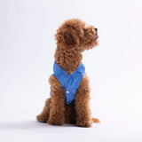 Cozie Bear Patterned Denim Shirt