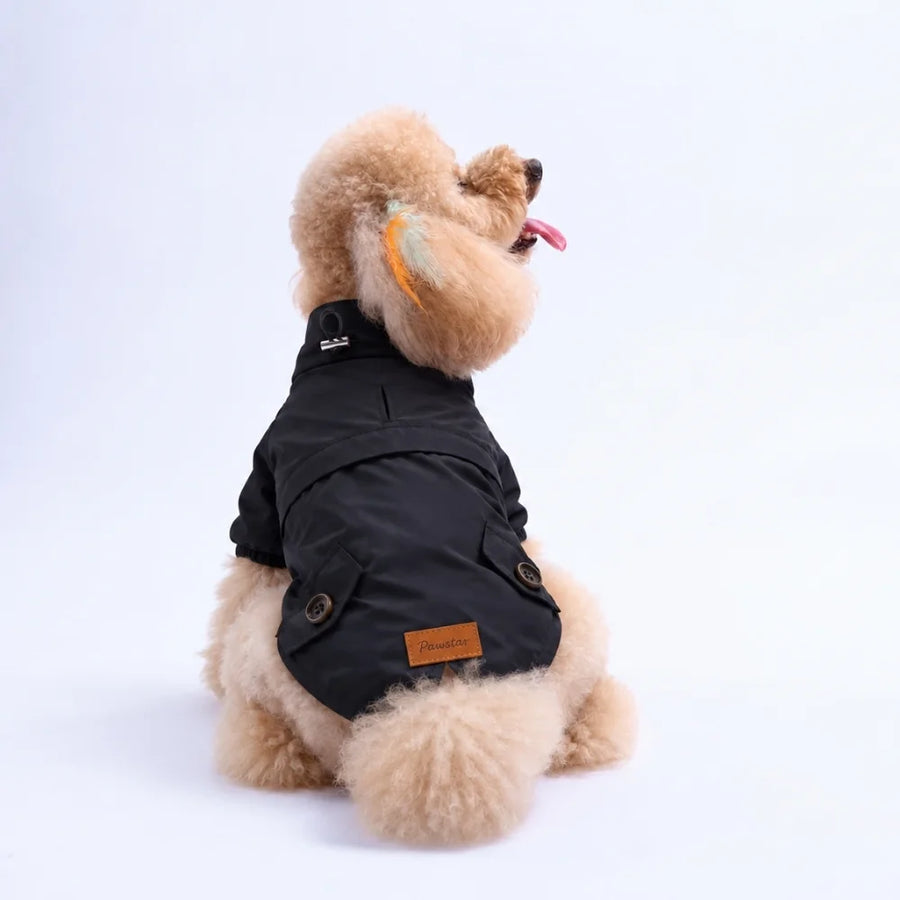 Black Glasgow Storm Raincoat Small & Medium Breed