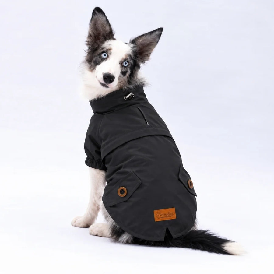 Black Glasgow Large Breed Raincoat
