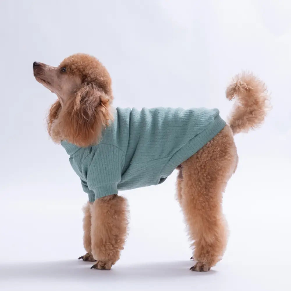 Green Teddy Wood Sweatshirt