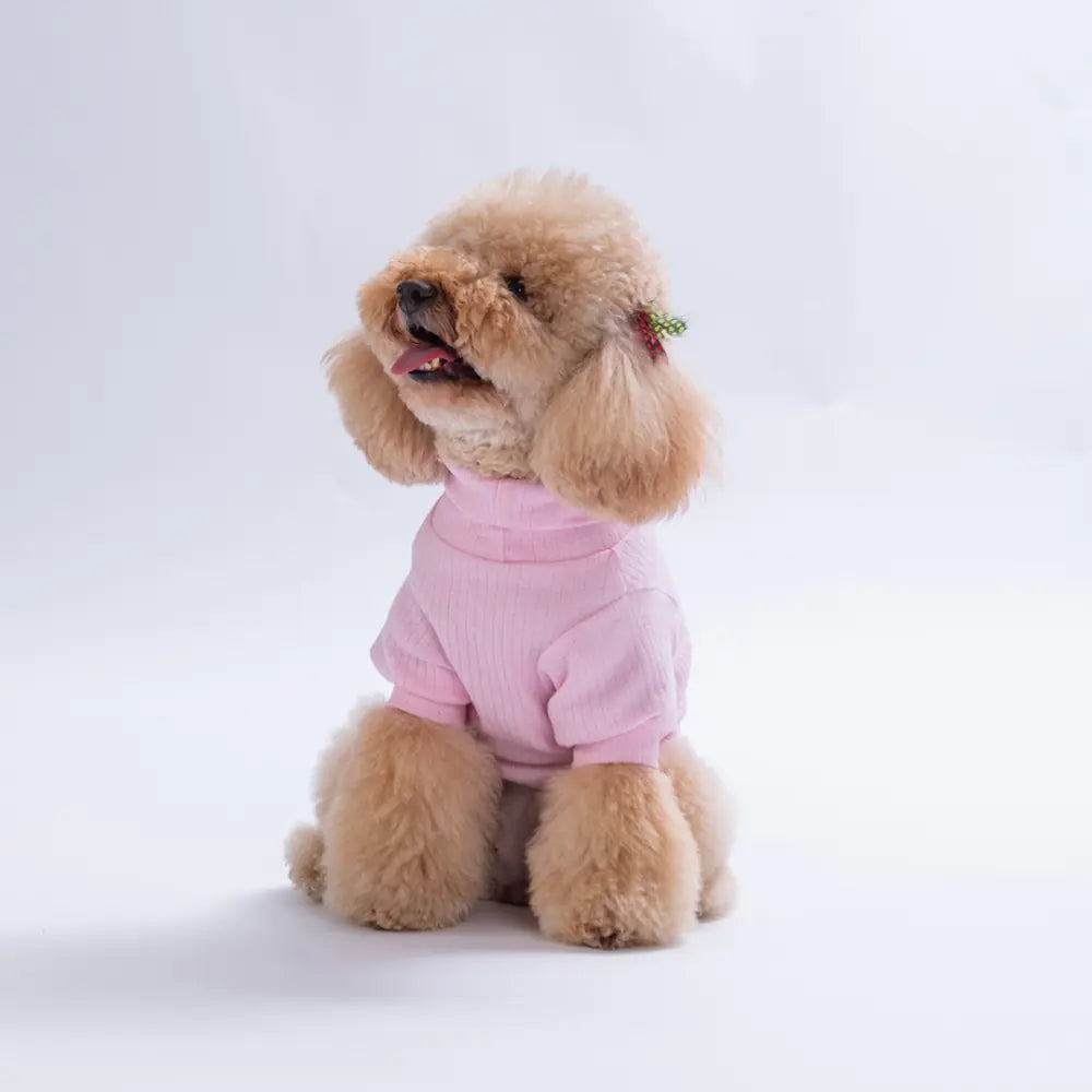 - Pink Teddy Wood Sweatshirt