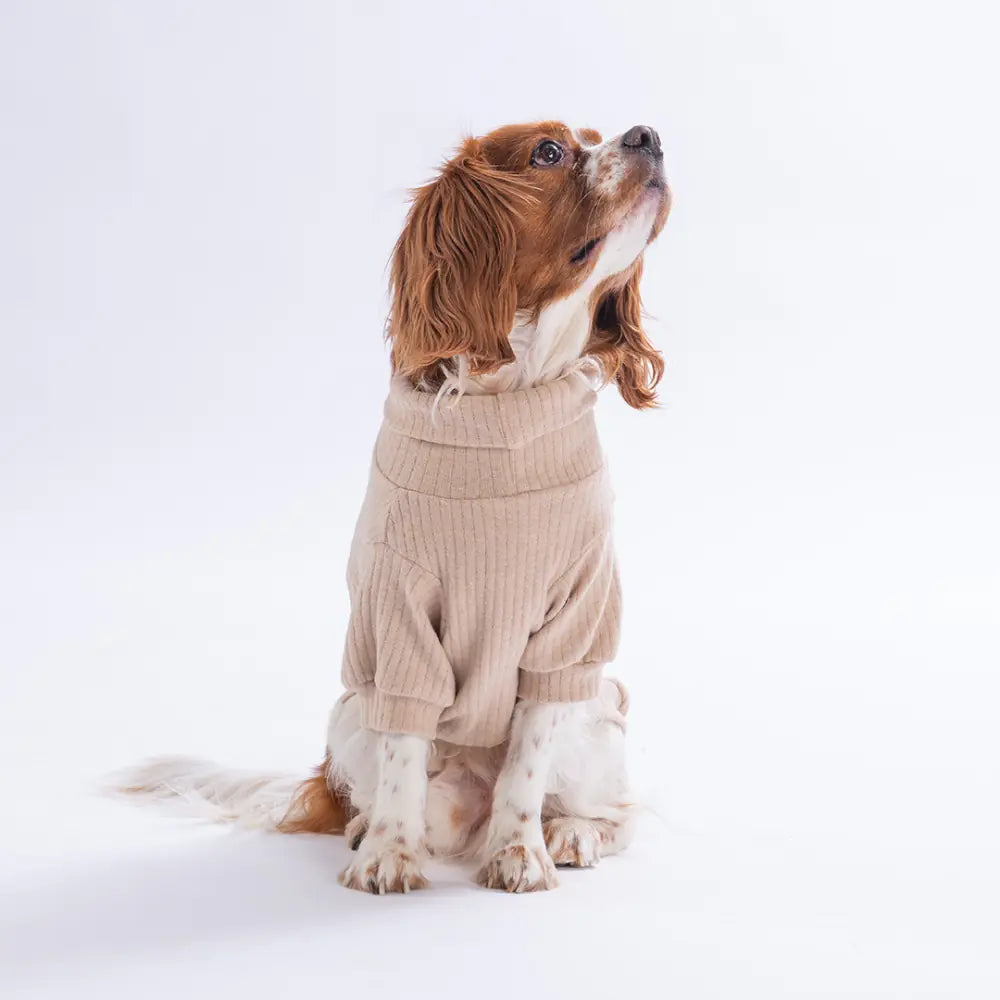 -Bej Teddy Wood Sweatshirt
