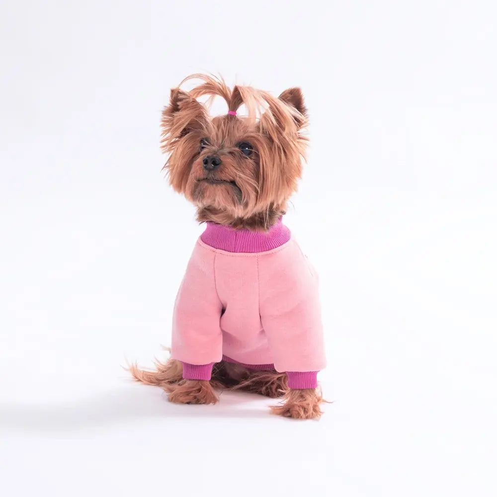 - Piglet Lane Dog Sweatshirt