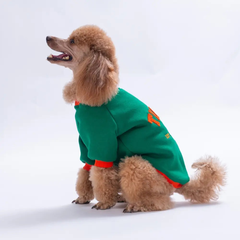 -Tigger Grove Dog Sweatshirt