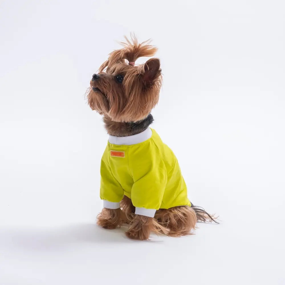 Yellow YourSelf Love Sweatshirt