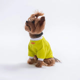 Yellow YourSelf Love Sweatshirt