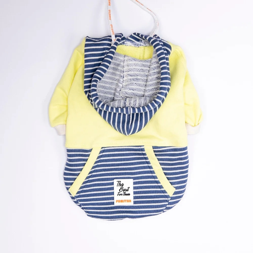 Green Sera Stripe Hoodie