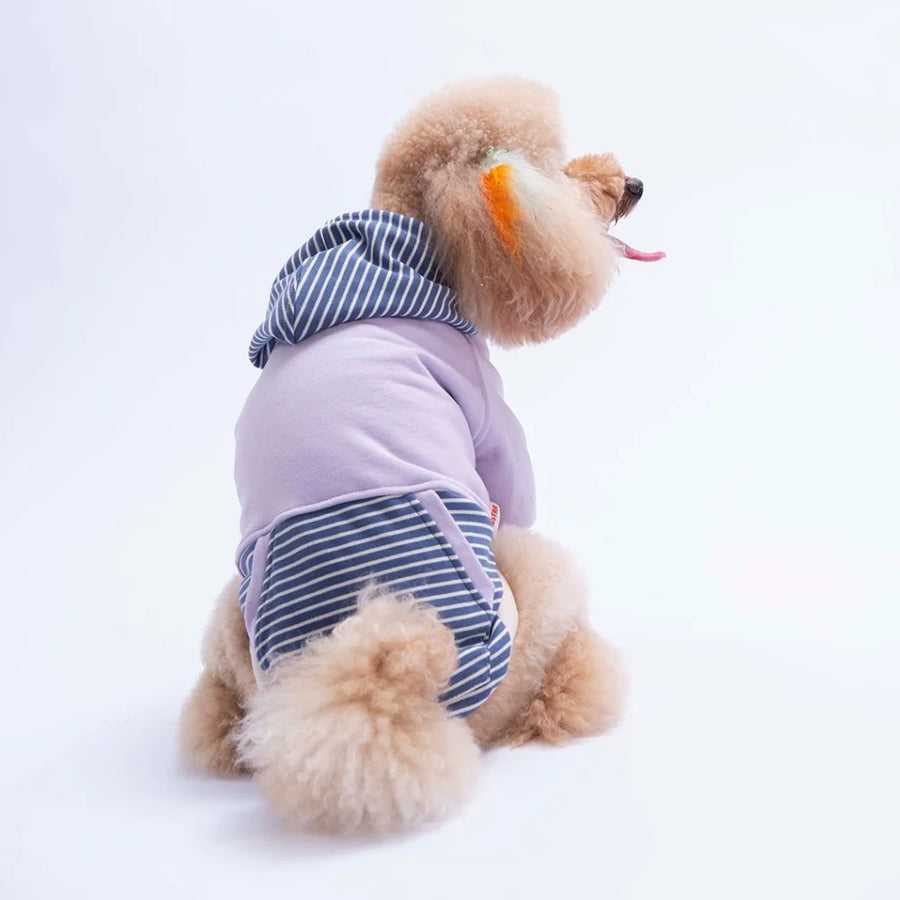 Lilac Sera Stripe Hoodie