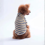 Yellow Marseille Softline Sweatshirt