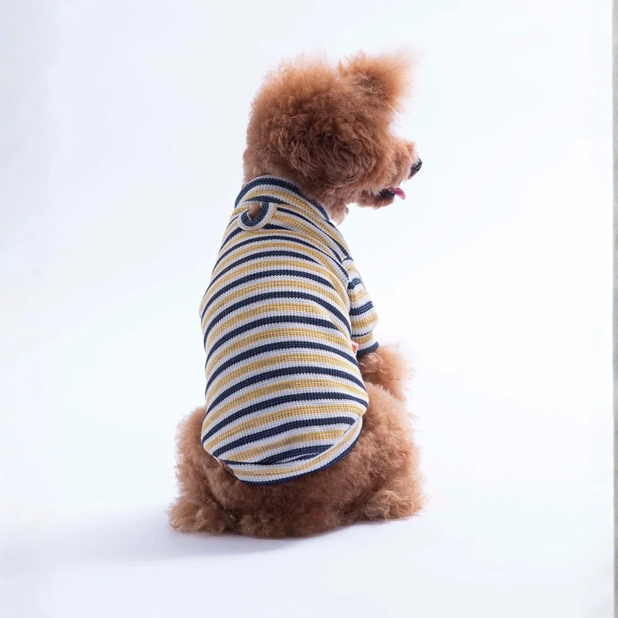 Yellow Marseille Softline Sweatshirt