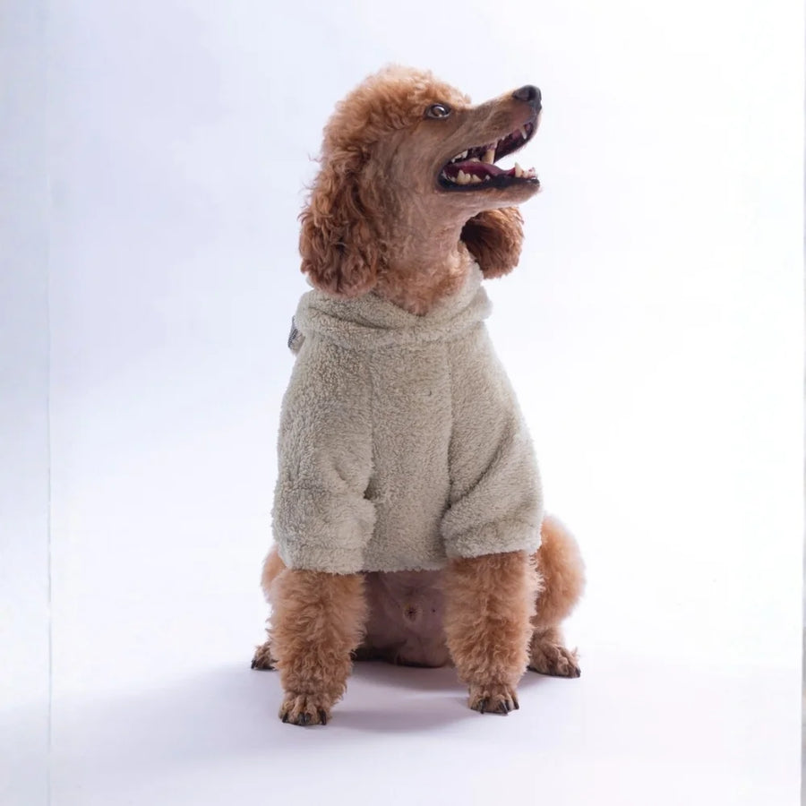 Light Beige LuccaTeddy Hoodie