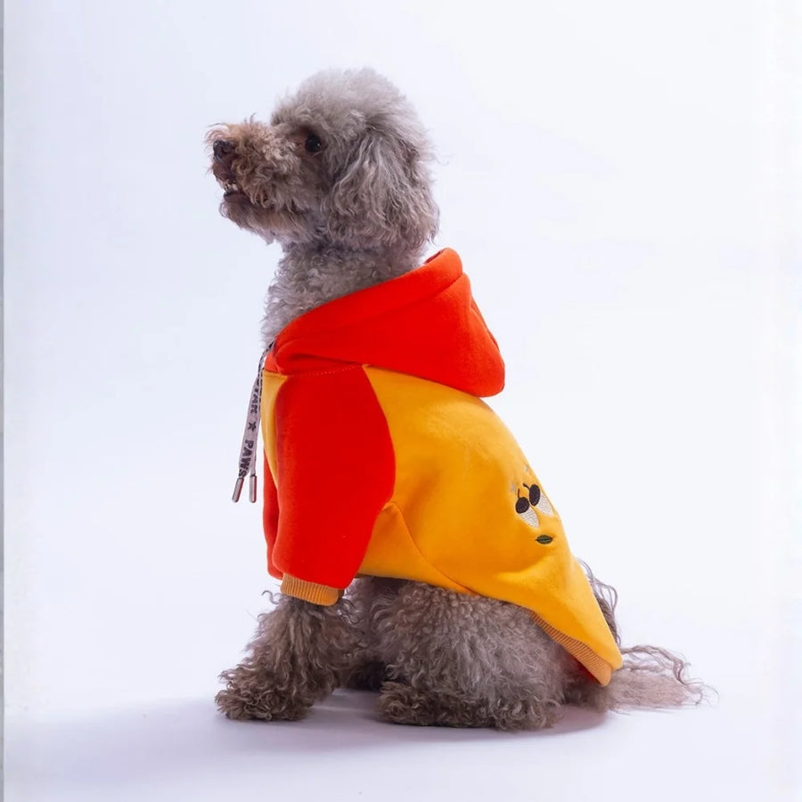 Orange Vermont Autumn Hoodie