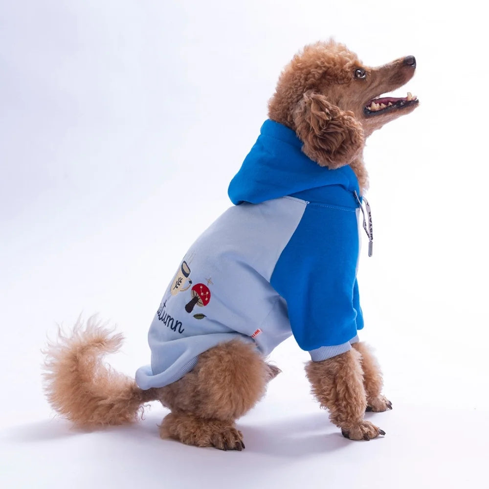Blue Vermont Autumn Hoodie