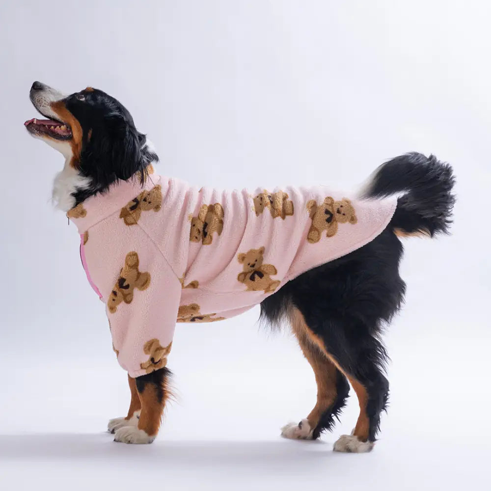 - Pink Gentle Bruno Big Sweatshirt