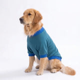 - Eeyore Creek Large Breed Sweatshirt
