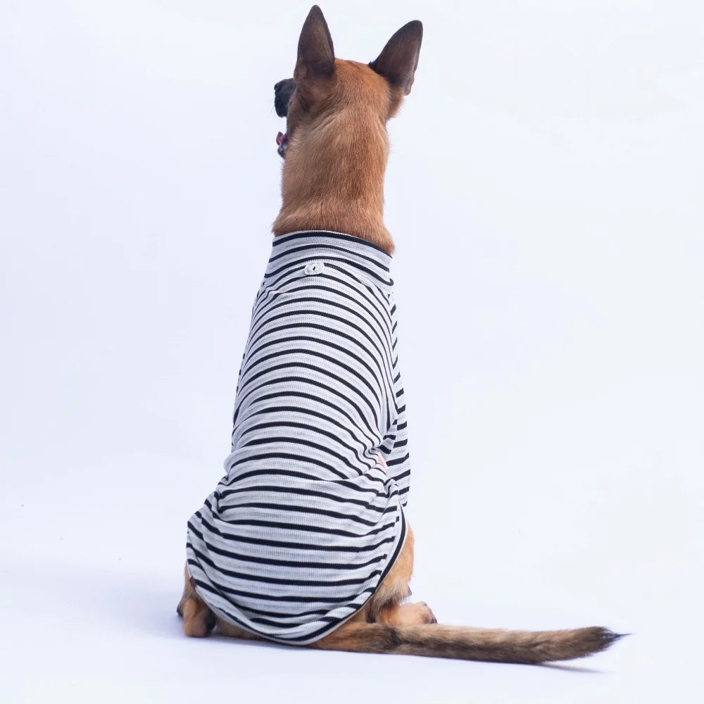 Black Marseille Softline Large Breed Sweatshirt