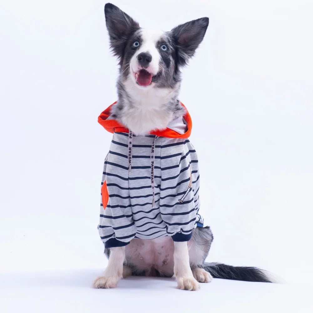 Orange Seattle Pitch Large Breed Hoodie