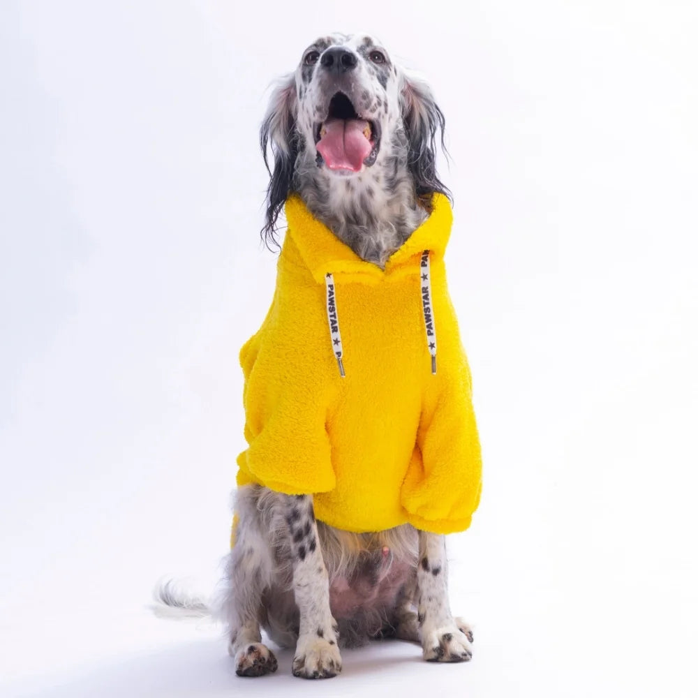 Yellow Miami Stay Large Breed Sweatshirt