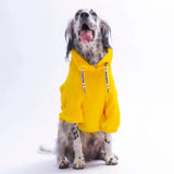 Yellow Miami Stay Large Breed Sweatshirt