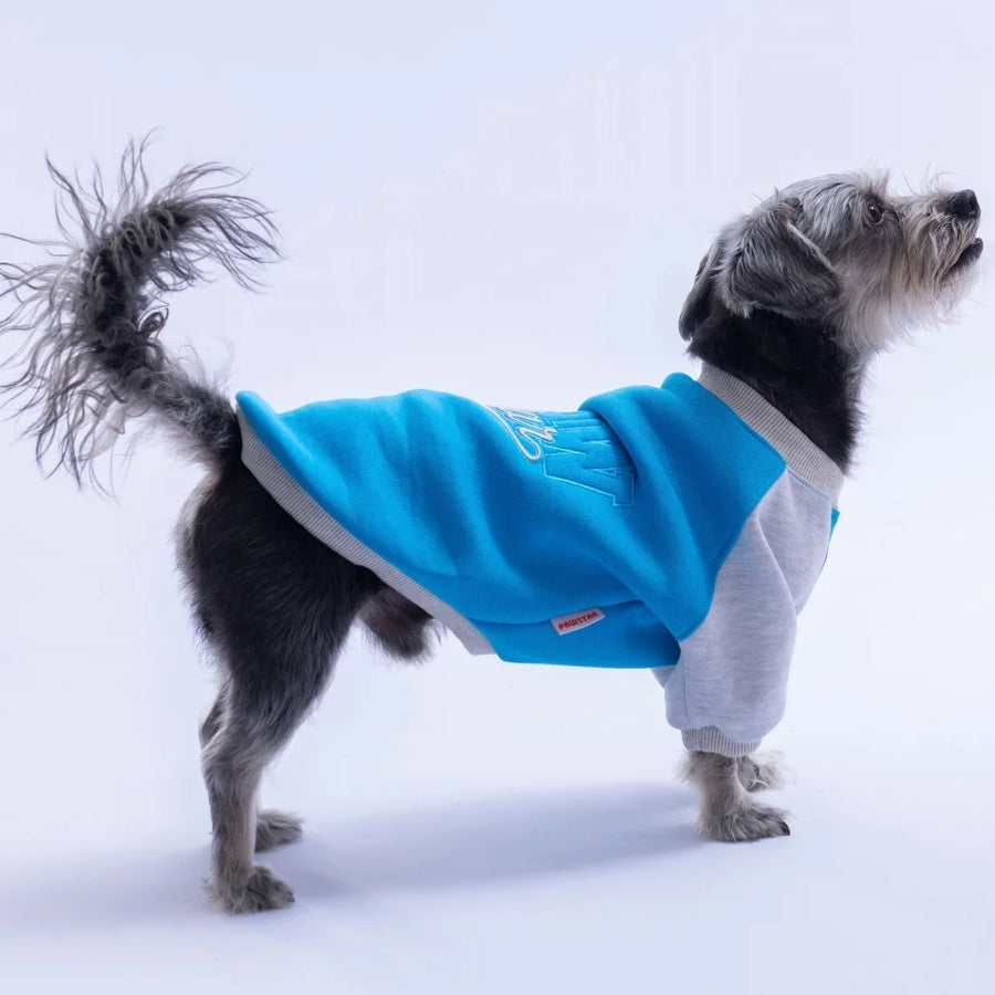 Blue Boston Sweatshirt