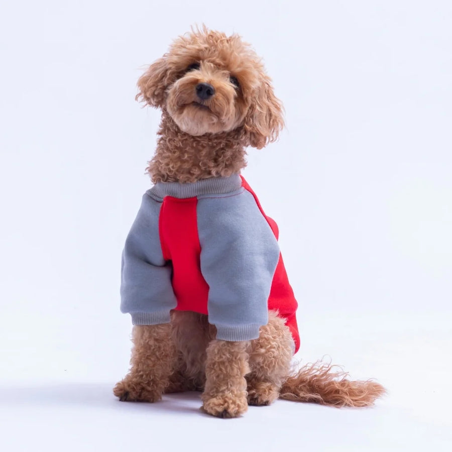 Red Boston Sweatshirt