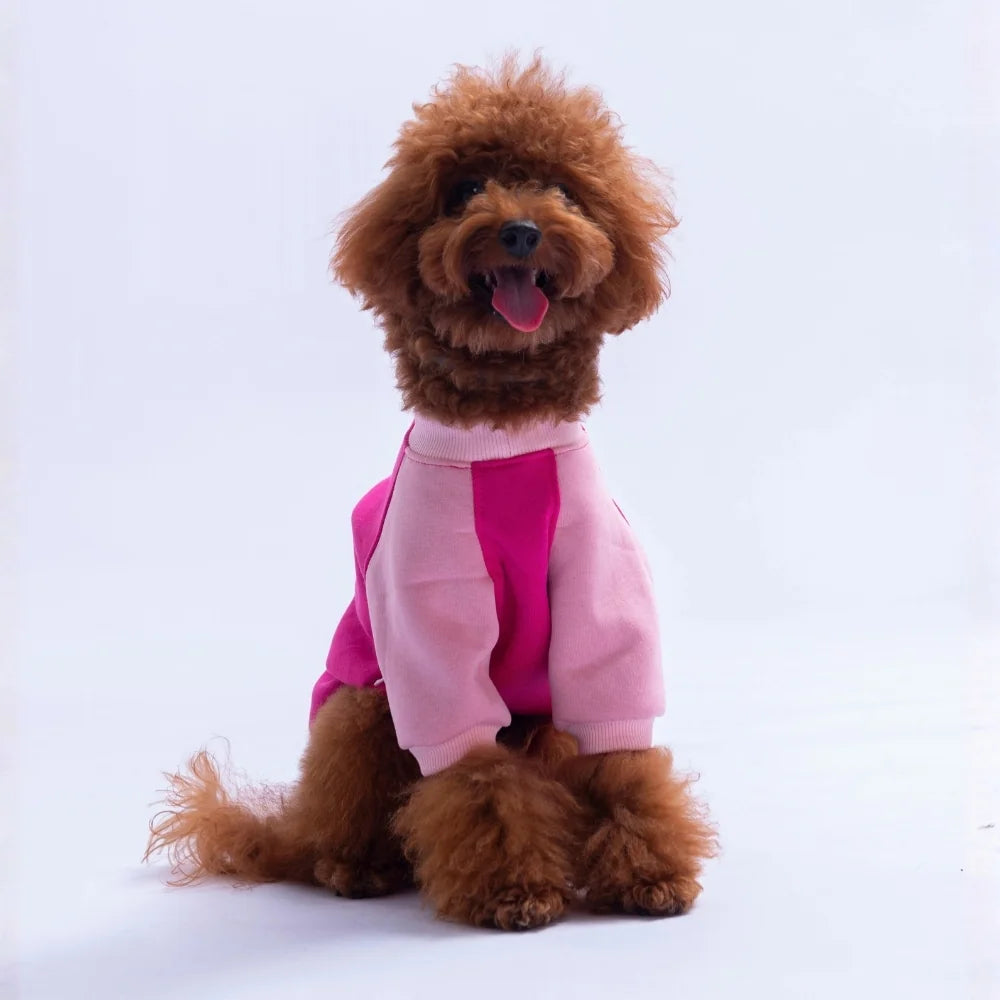Fuchsia Boston Sweatshirt