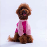 Fuchsia Boston Sweatshirt