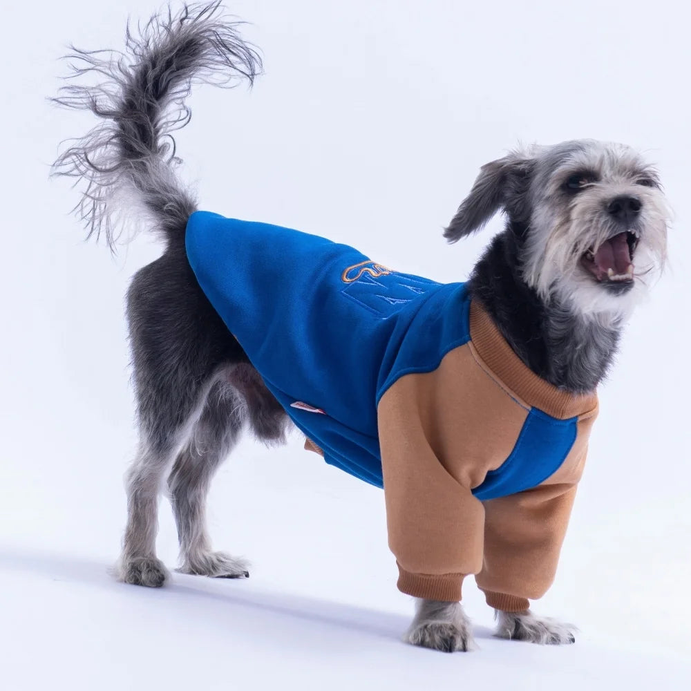 Saks Blue Boston Sweatshirt