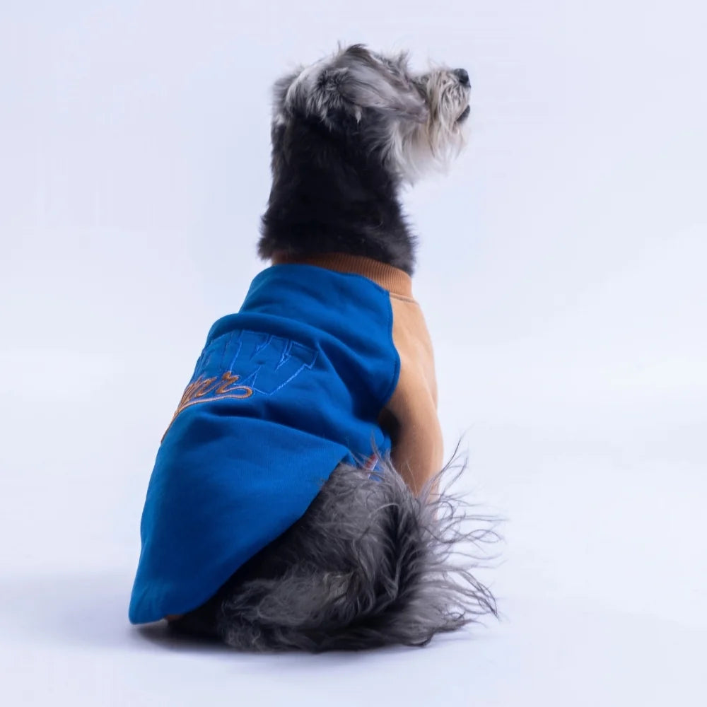 Saks Blue Boston Sweatshirt