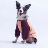 Salmon Boston Large Breed Sweatshirt