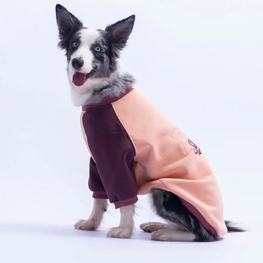 Salmon Boston Large Breed Sweatshirt
