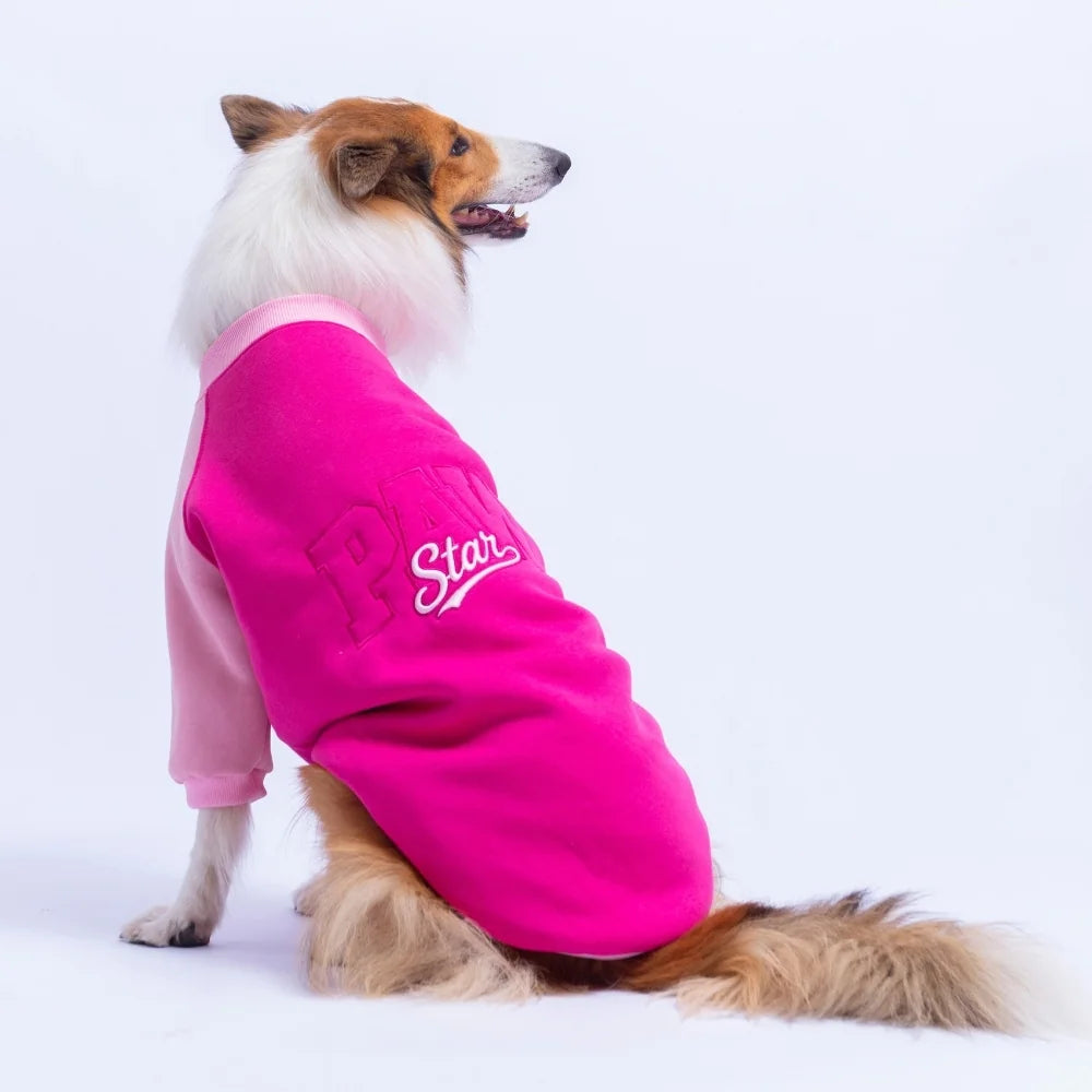 Fuchsia Boston Large Breed Sweatshirt